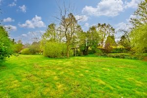 Photo 16- click for photo gallery